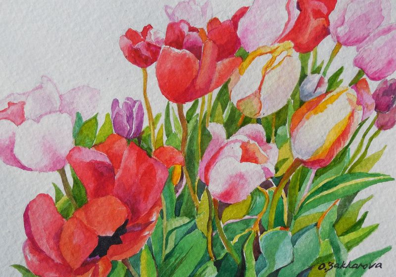 Tulips